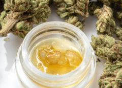 budtender training