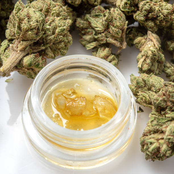 budtender training