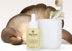 mushroom skin care products