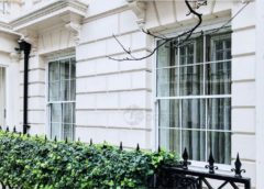 Security windows residential