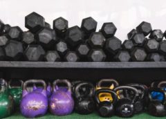 gym equipment wholesale