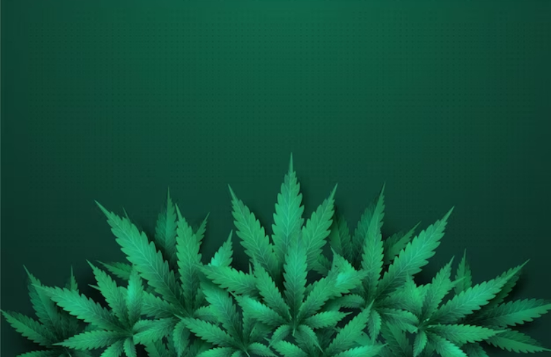cannabis card