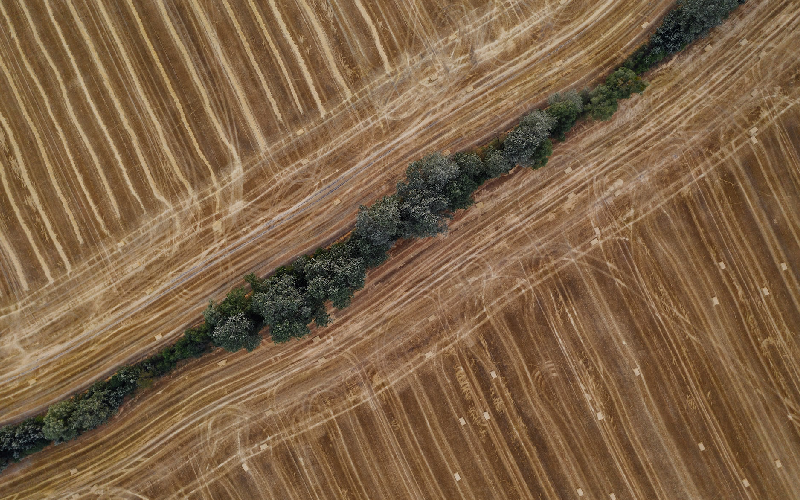 selling land by owner