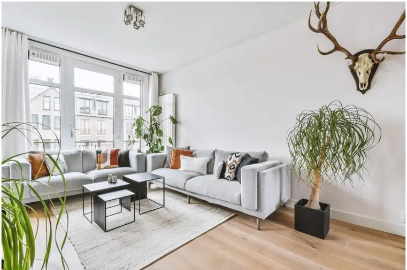 House staging vancouver