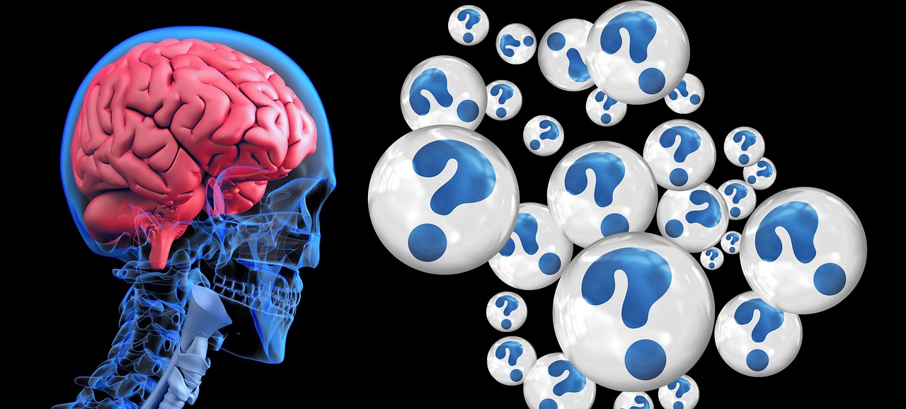Digital X-Ray Exams and Their Role in Corrective Chiropractic Planning