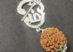 original 6 mukhi rudraksha