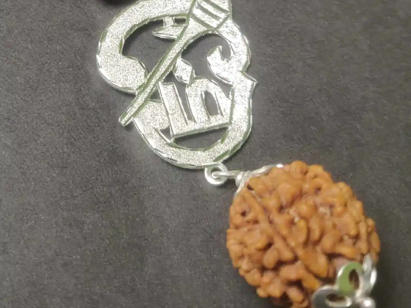 original 6 mukhi rudraksha