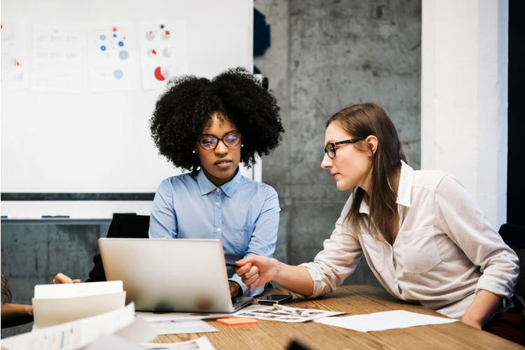 brand management training