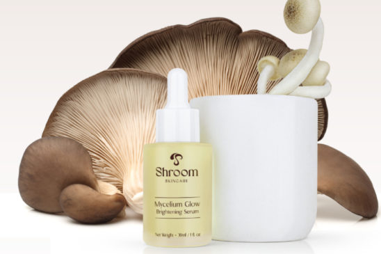 mushroom skin care products