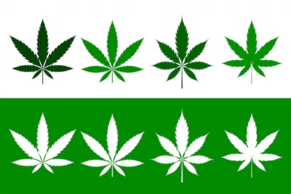 virginia medical marijuana