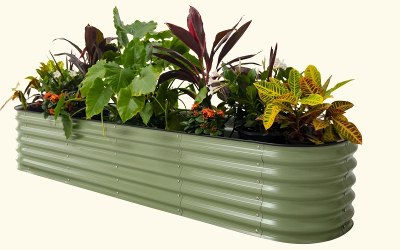 Raised beds for sale