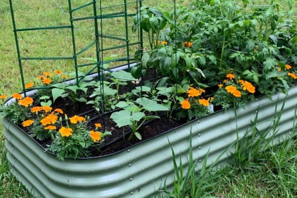 Raised beds for sale
