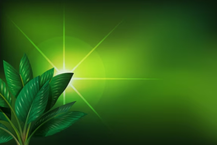 medical marijuana card virginia
