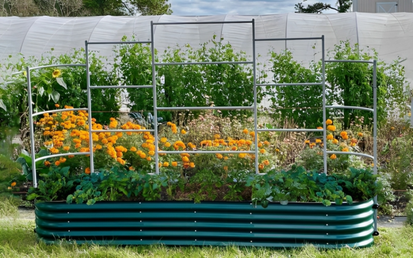 raised beds for sale