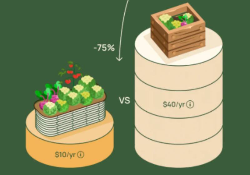 raised beds for sale