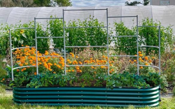 raised beds for sale