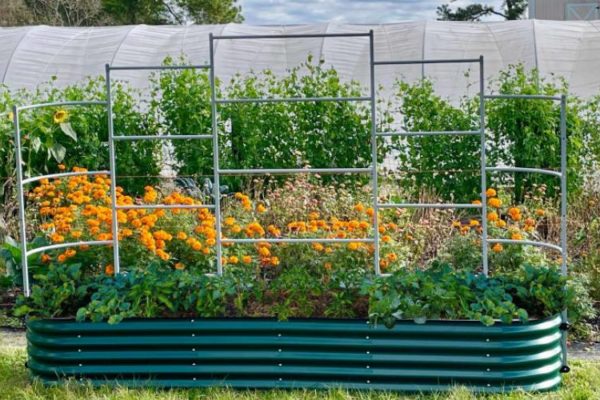 raised beds for sale