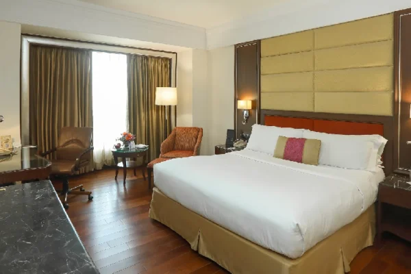 hotels in nehru place delhi